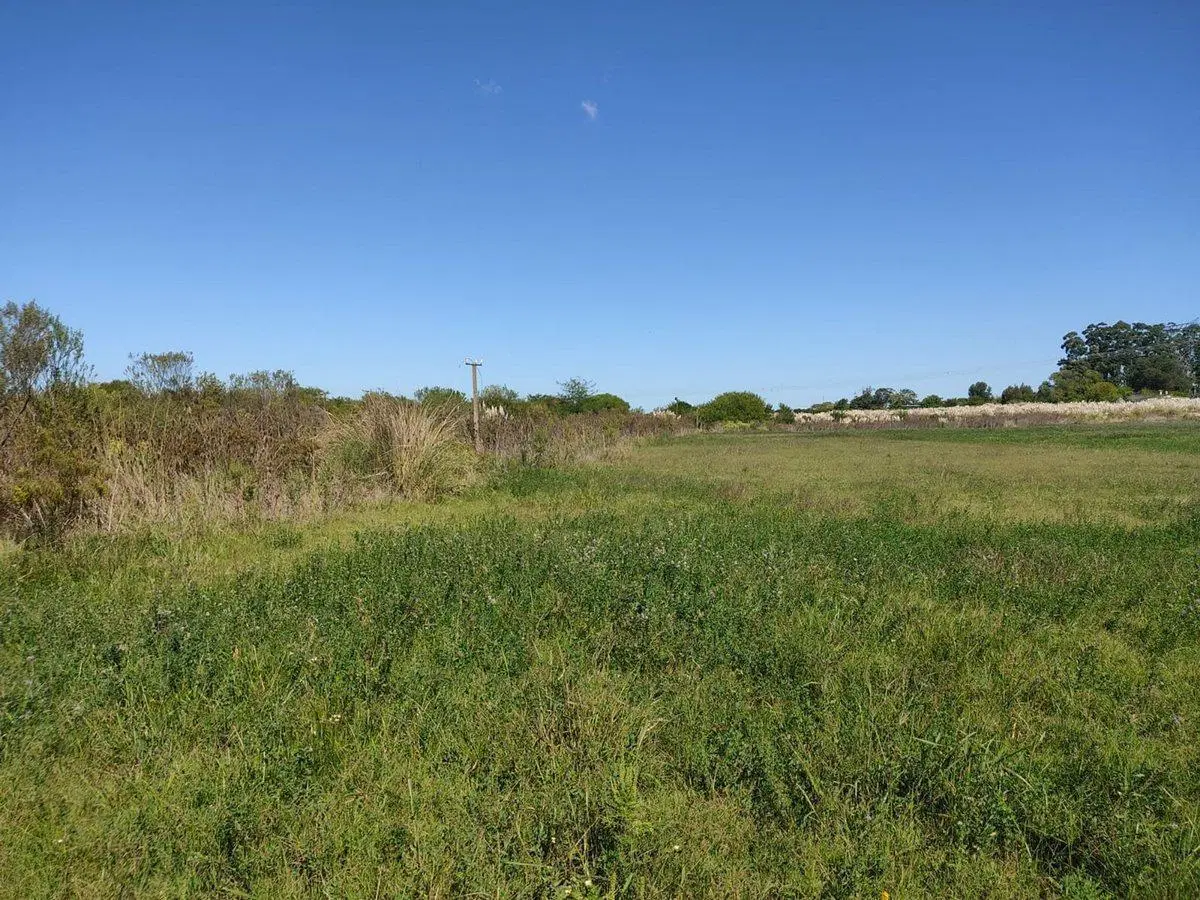 Venta Campo casi 4 hás, a 1 cuadra de Ruta 75 5