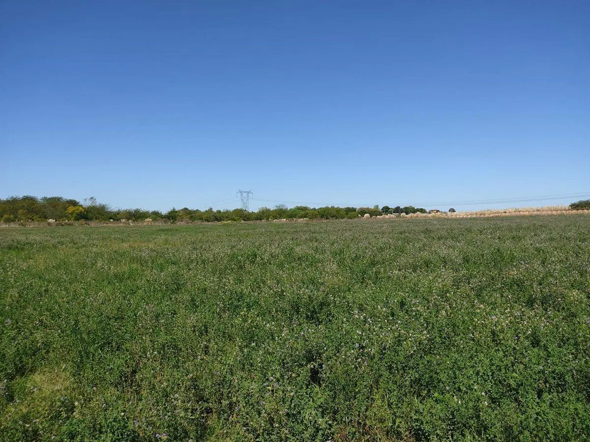 Venta Campo casi 4 hás, a 1 cuadra de Ruta 75 3