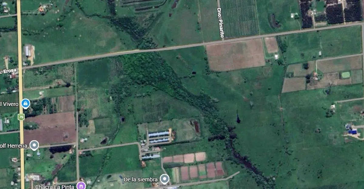 Venta Campo casi 4 hás, a 1 cuadra de Ruta 75 2