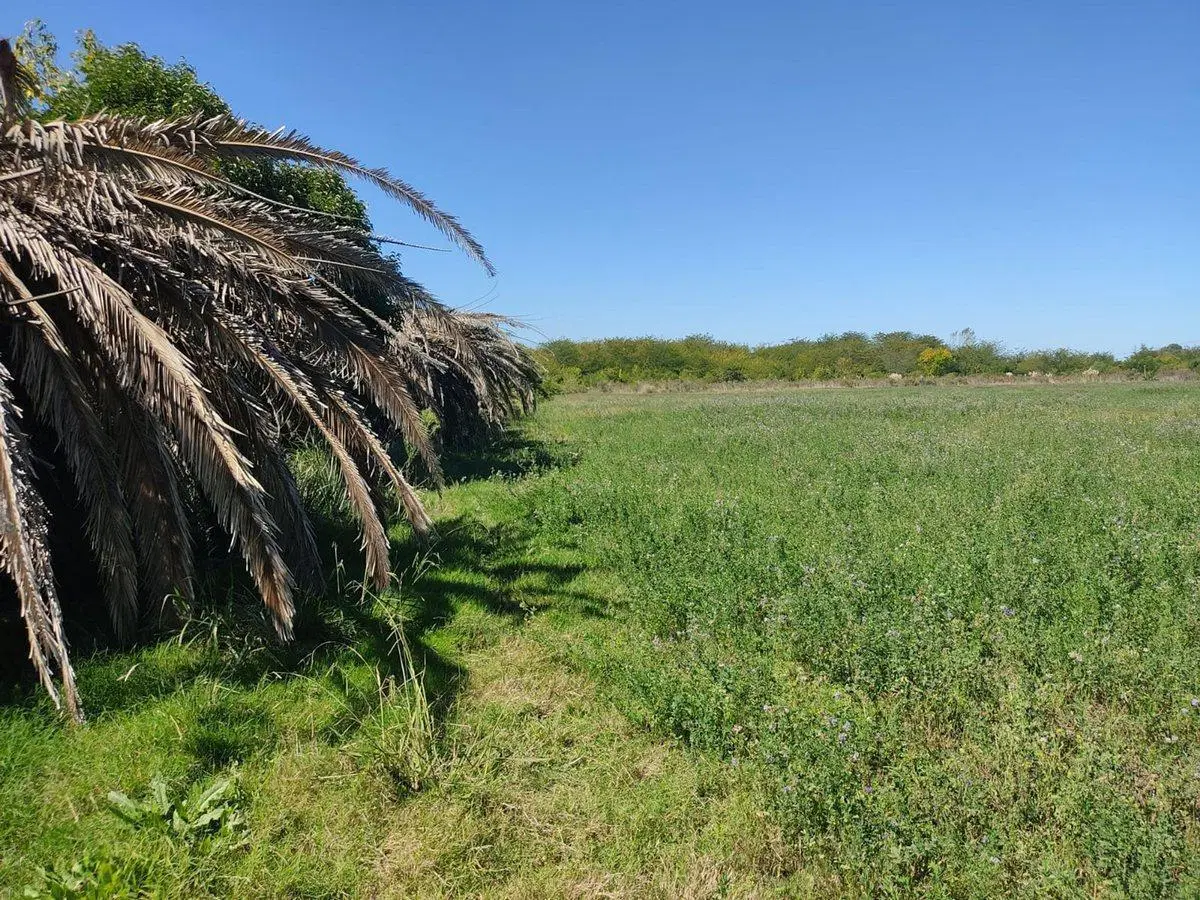 Venta Campo casi 4 hás, a 1 cuadra de Ruta 75 4