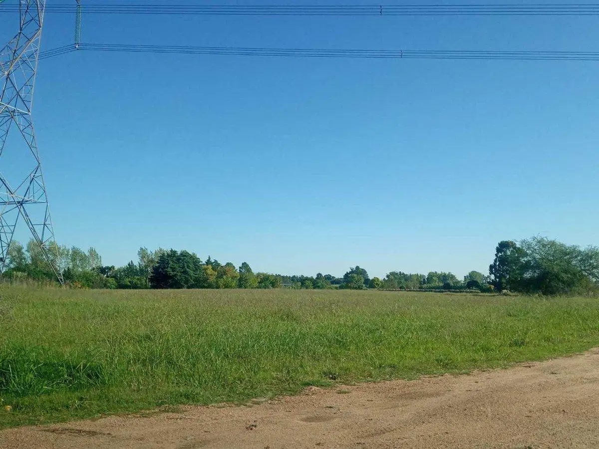 Excelente Oportunidad!! Campo sobre Ruta 75 5