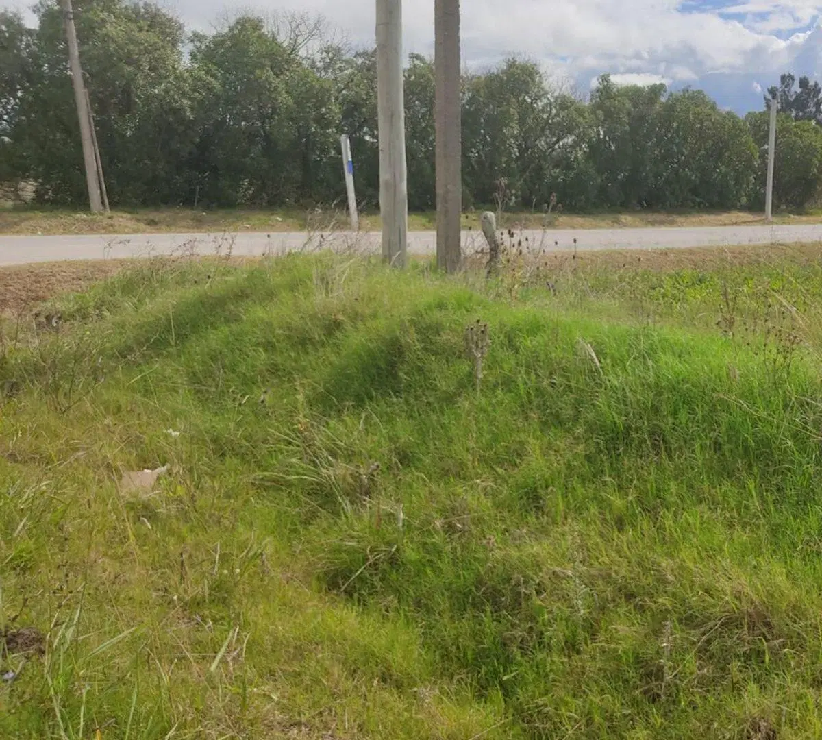 Excelente Oportunidad!! Campo sobre Ruta 75 4