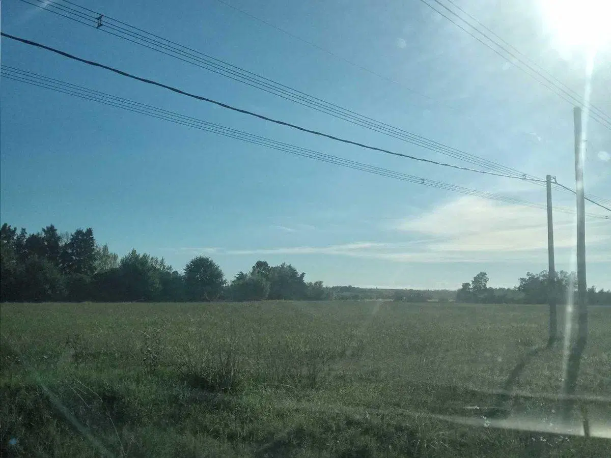 Excelente Oportunidad!! Campo sobre Ruta 75 2