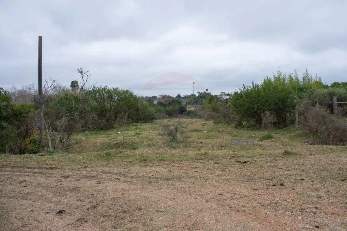 Venta de Importante Predio Logístico en Pando 2