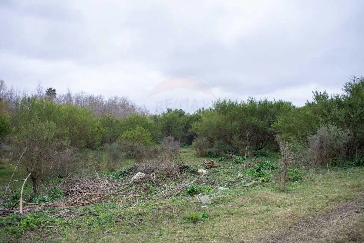 Venta de Importante Predio Logístico en Pando 5