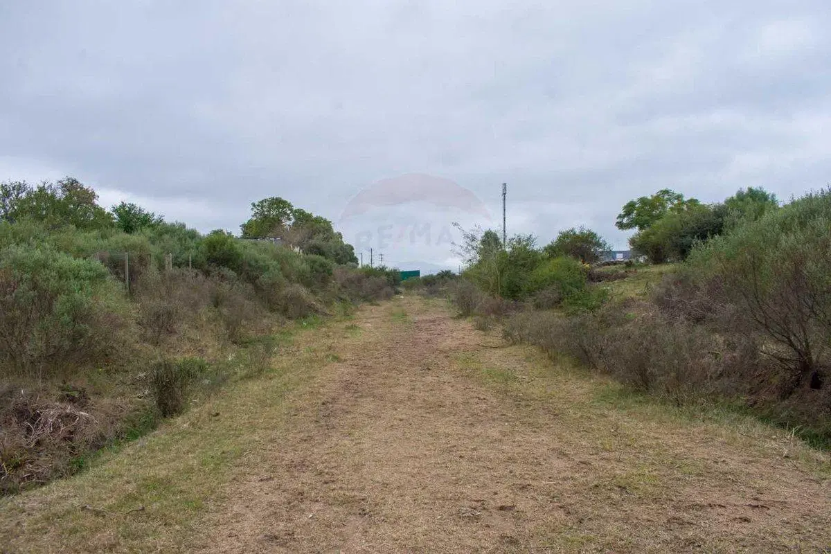 Venta de Importante Predio Logístico en Pando 4