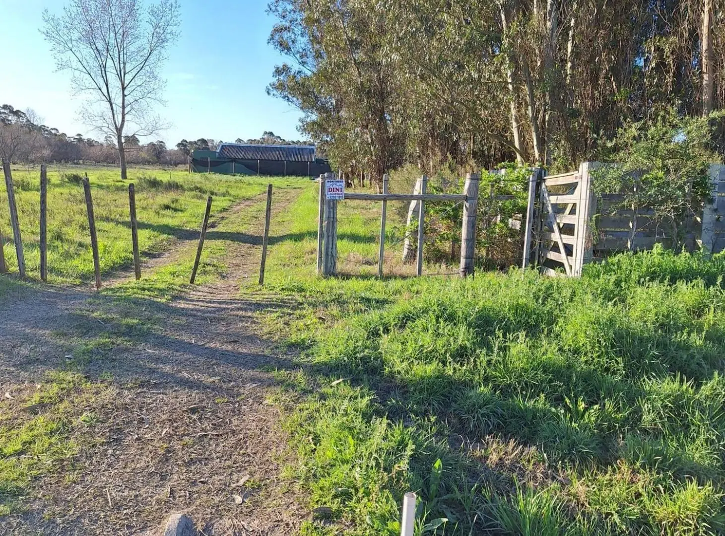Venta de campo 5 Ha. Ruta 8 Km. 34 Rincón de Pando 5