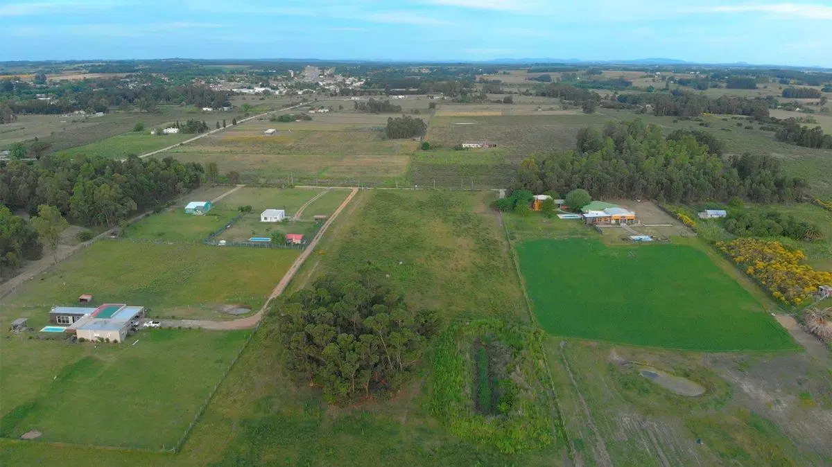 Venta de campo 3Ha. en Empalme Olmos 1