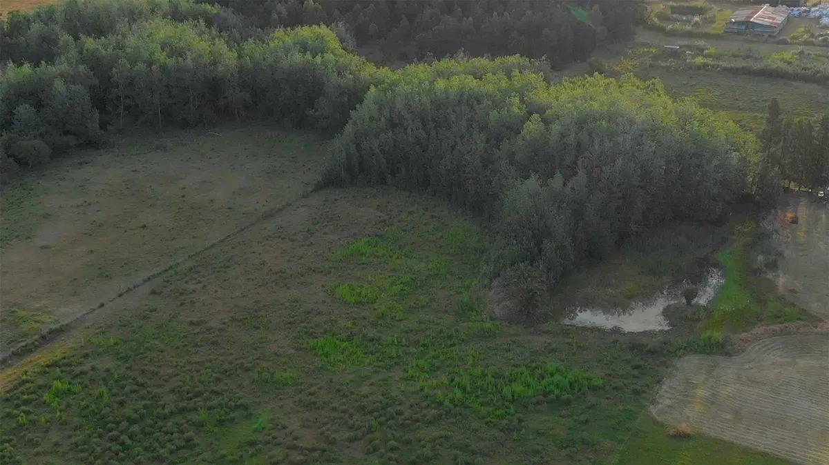 Venta de campo 3Ha. en Empalme Olmos 3