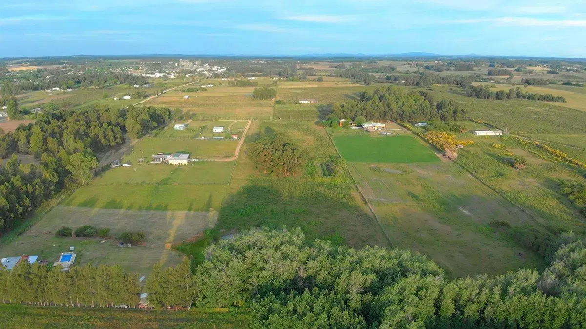 Venta de campo 3Ha. en Empalme Olmos 2