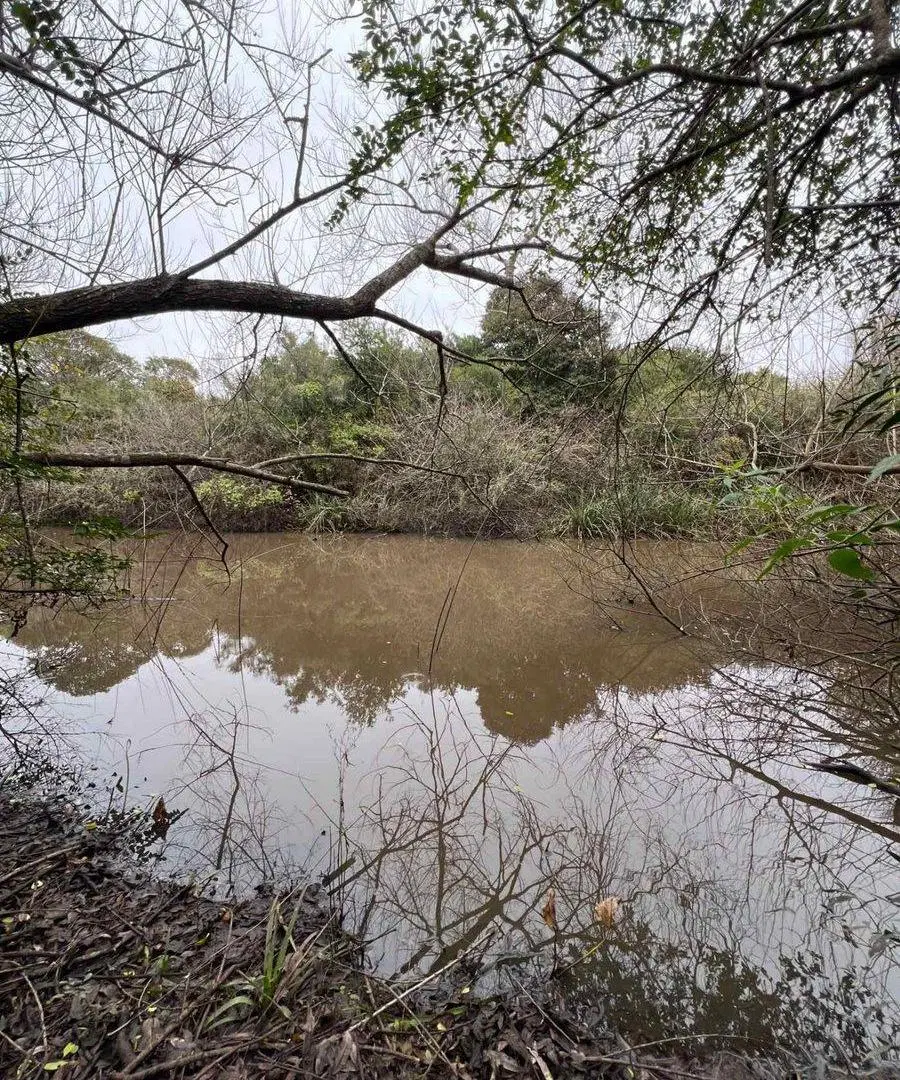 Venta Campo 18.970 Has sobre arroyo. Costa Azul 5