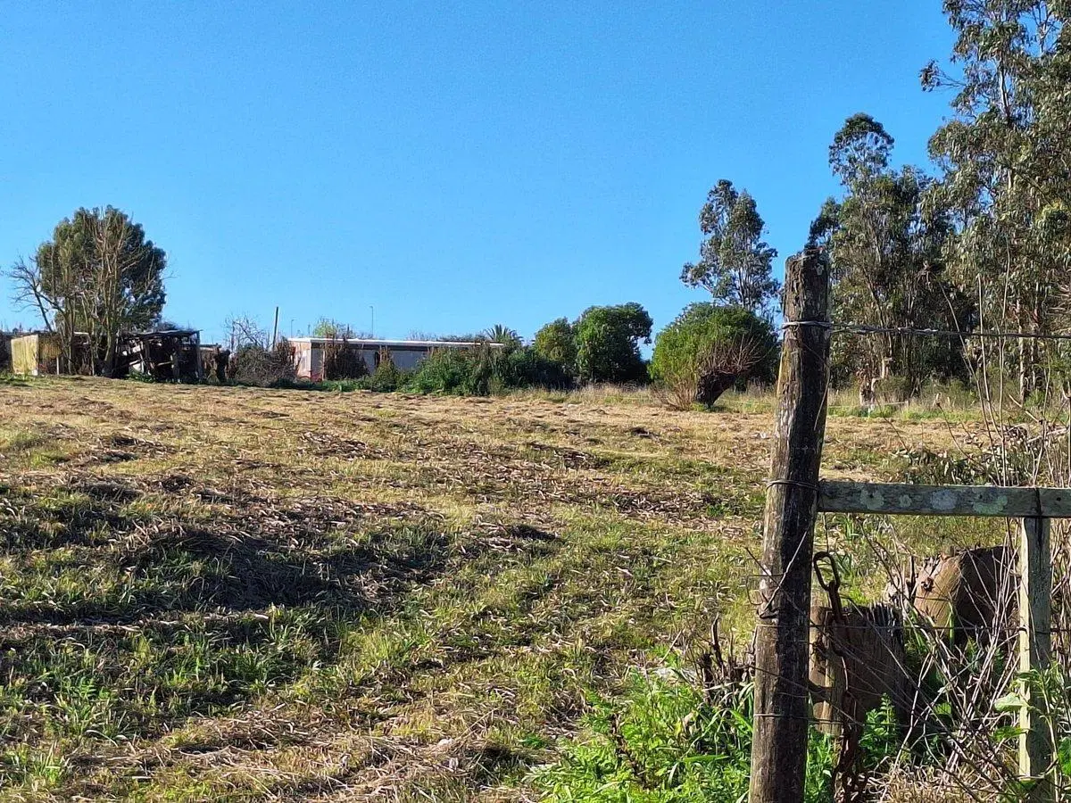 Alquiler de terreno 5.500m² sobre Ruta 34 Km. 40 4