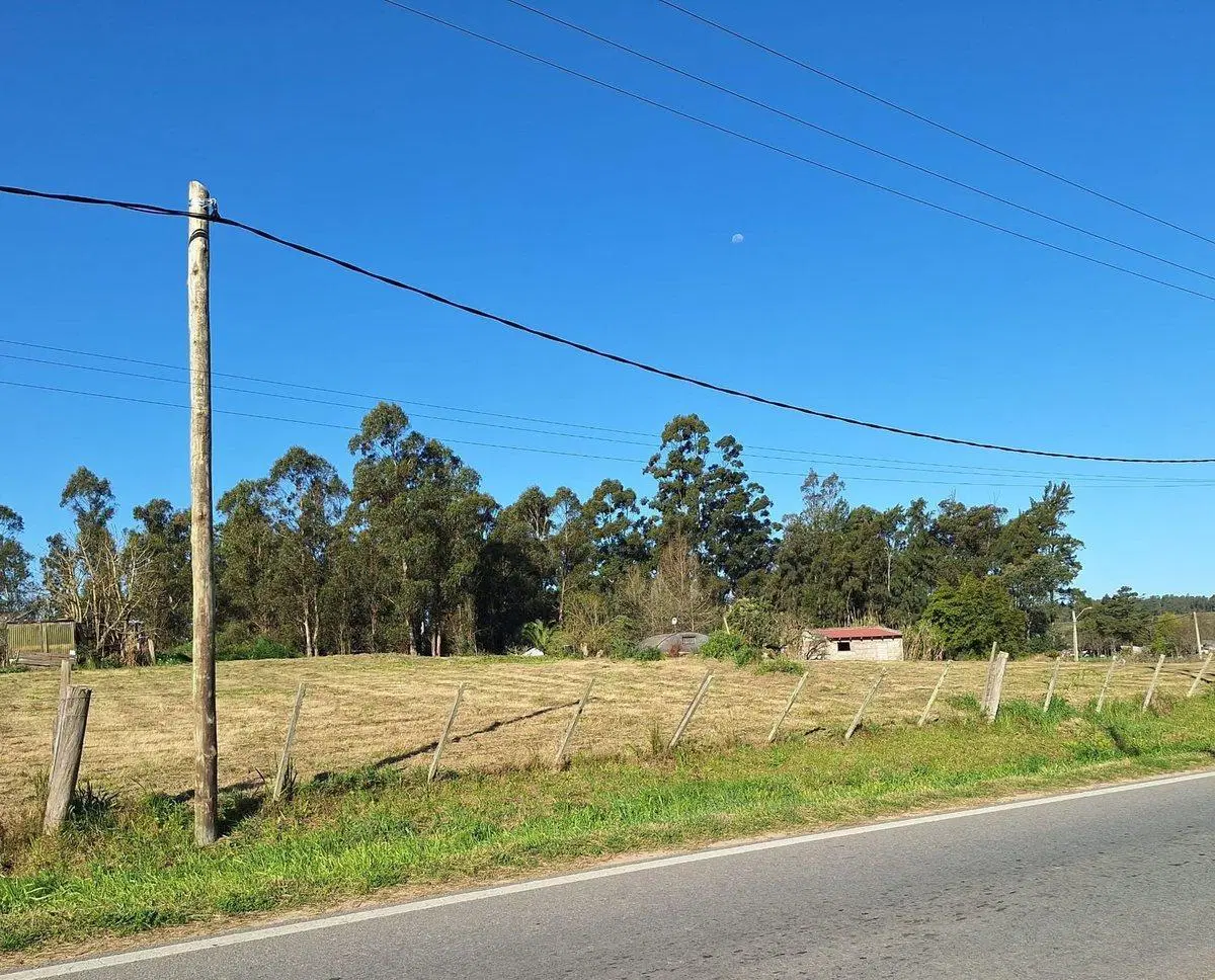 Alquiler de terreno 5.500m² sobre Ruta 34 Km. 40 5