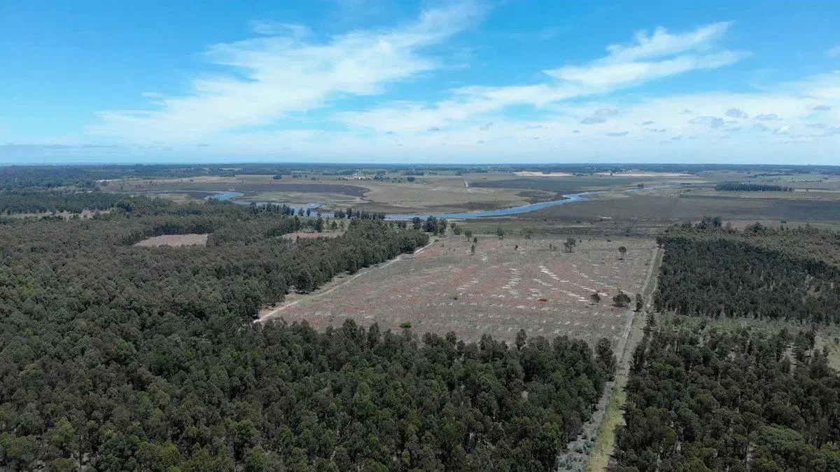 Venta de campo 76Has con costa 3
