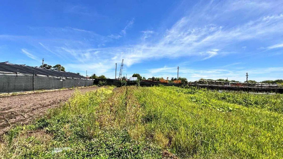 Venta Manga Terreno Suburbano Ideal Logística 4