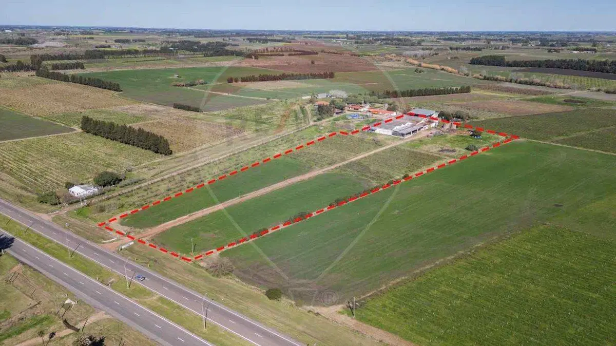 VENTA NAVE LOGÍSTICA SOBRE RUTA 5 CANELONES 3
