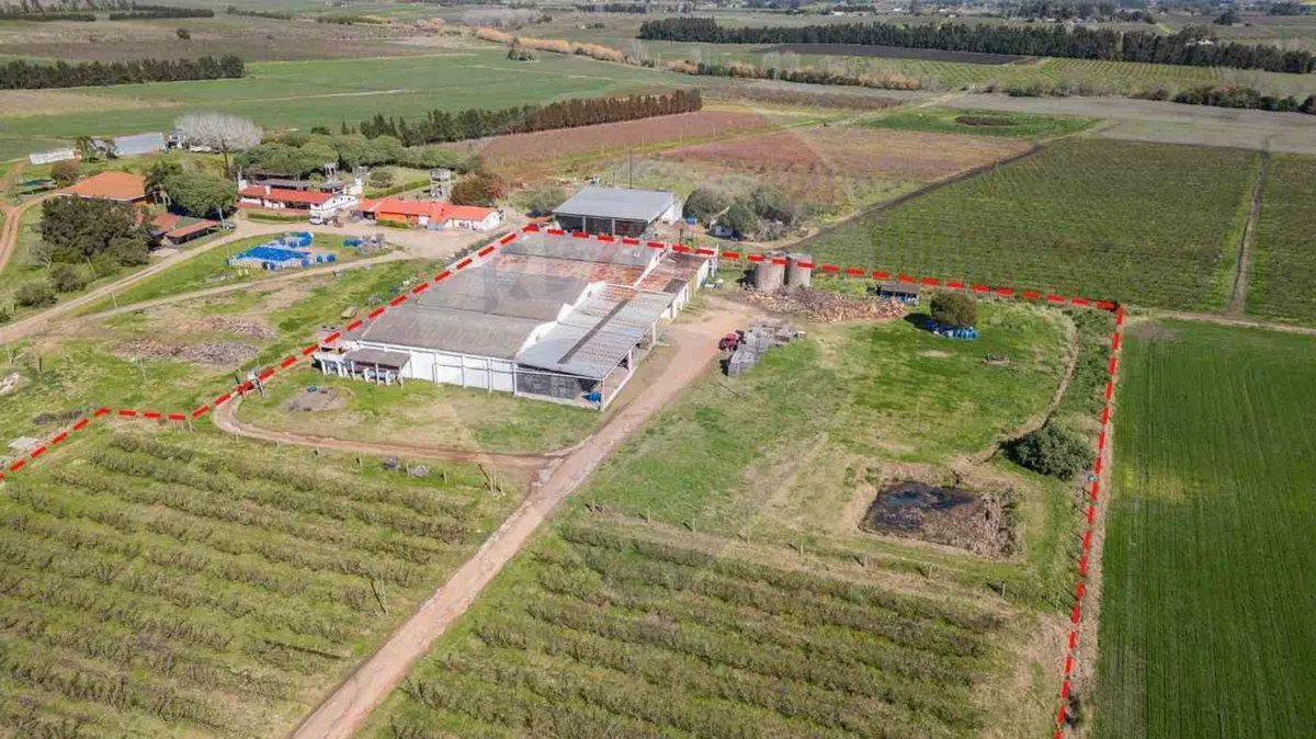 VENTA NAVE LOGÍSTICA SOBRE RUTA 5 CANELONES 4