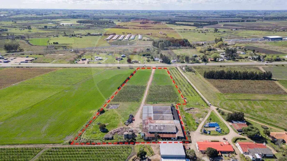VENTA NAVE LOGÍSTICA SOBRE RUTA 5 CANELONES 2