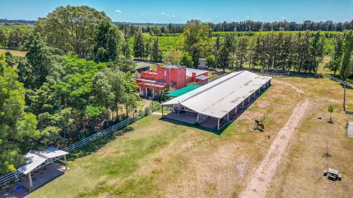 VENTA HARAS ESTABLECIMIENTO PARA EVENTOS CANELONES 3