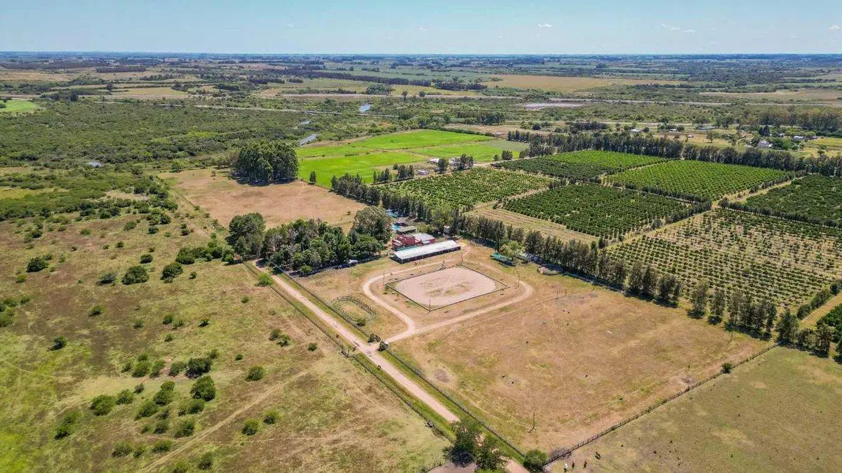 VENTA HARAS ESTABLECIMIENTO PARA EVENTOS CANELONES 5