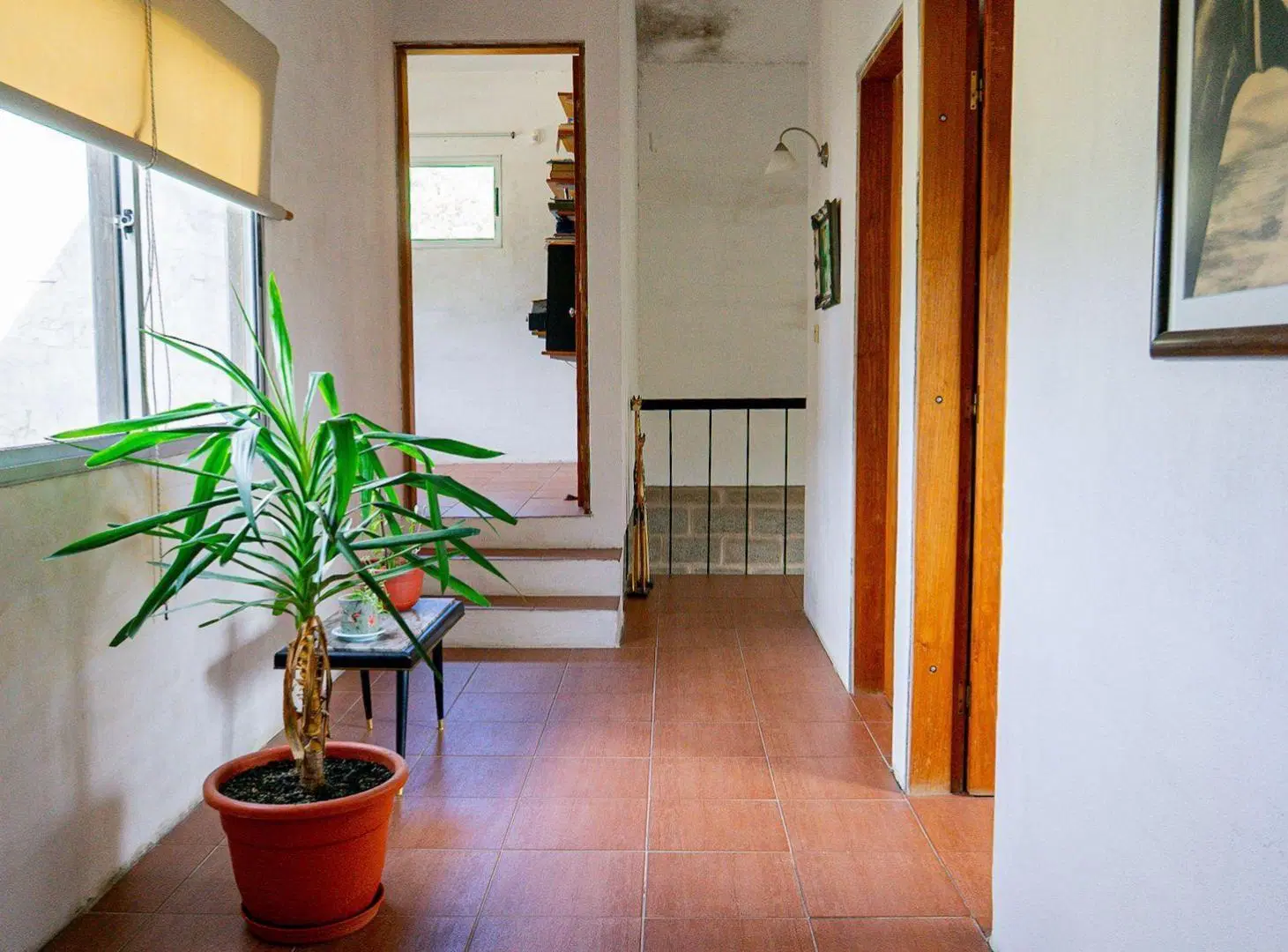 VENTA HERMOSA CASA 4 DORM EN PINEPARK 4