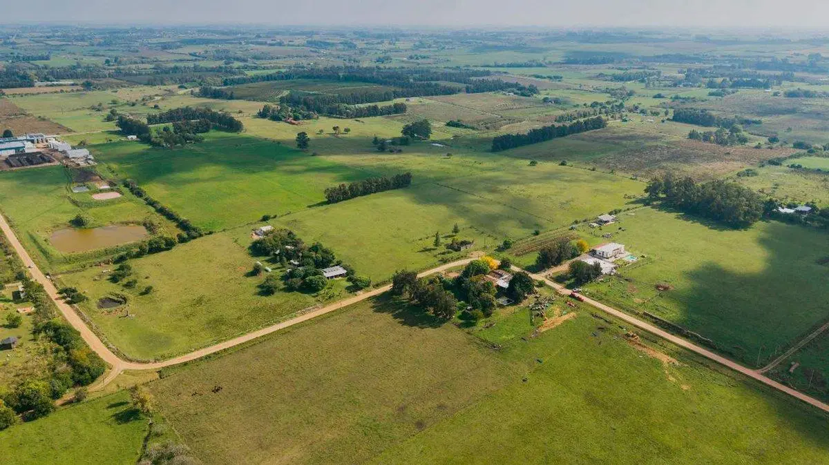 VENTA CHACRA 2,25 HA LOS CERRILLOS CANELONES 5