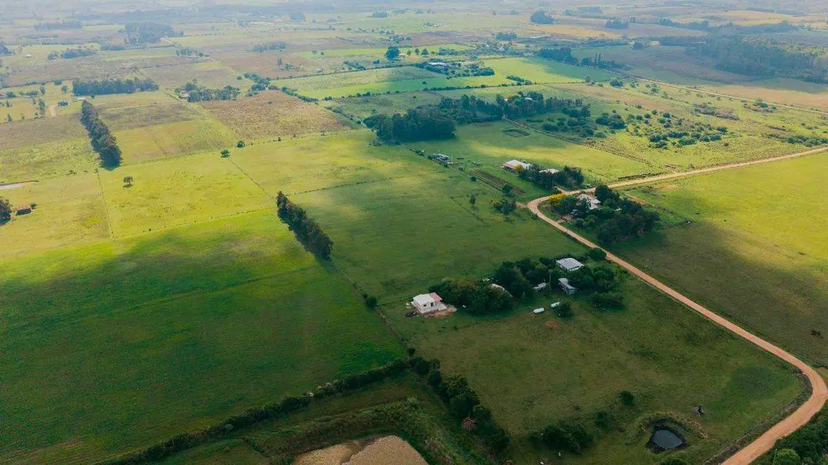 VENTA CHACRA 2,25 HA LOS CERRILLOS CANELONES 4