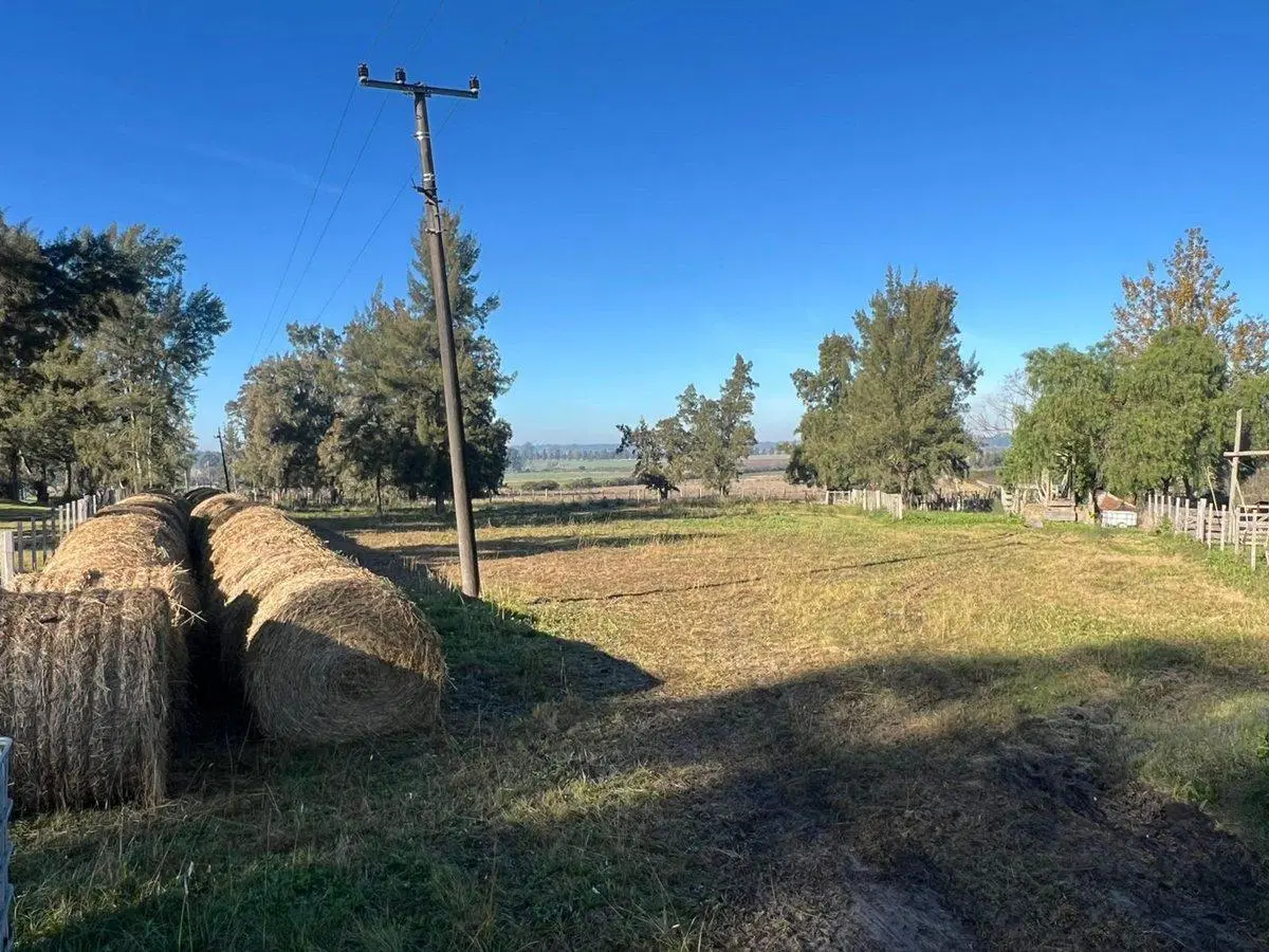 Venta de campo 6Has. sobre Ruta 11 Km. 146 2