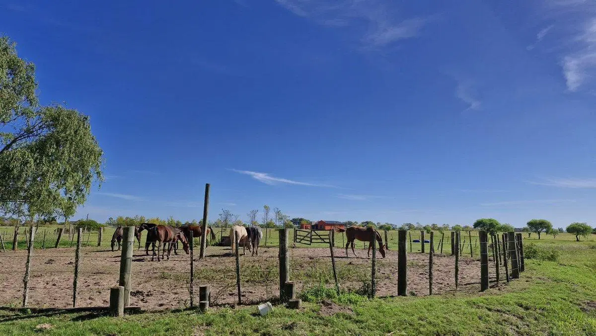 Venta Lote de 3760m2 Barrio privado Carmelo Golf 8