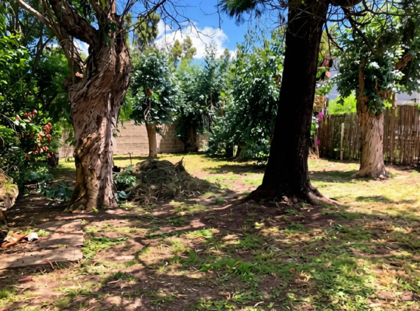 Venta terreno con mejoras en San Luis 6