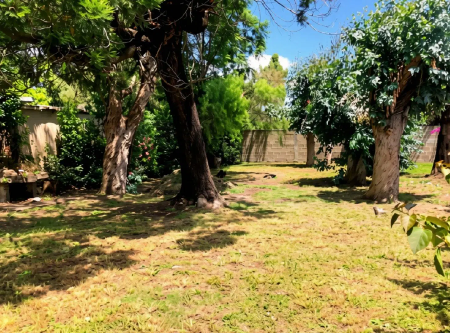 Venta terreno con mejoras en San Luis 5