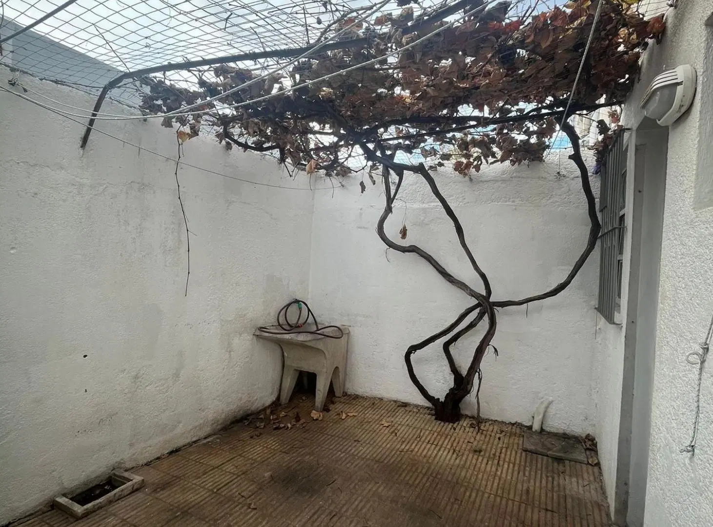 ALQUILER CASA 2 DORMITORIOS + SERVICIO EN BUCEO 4