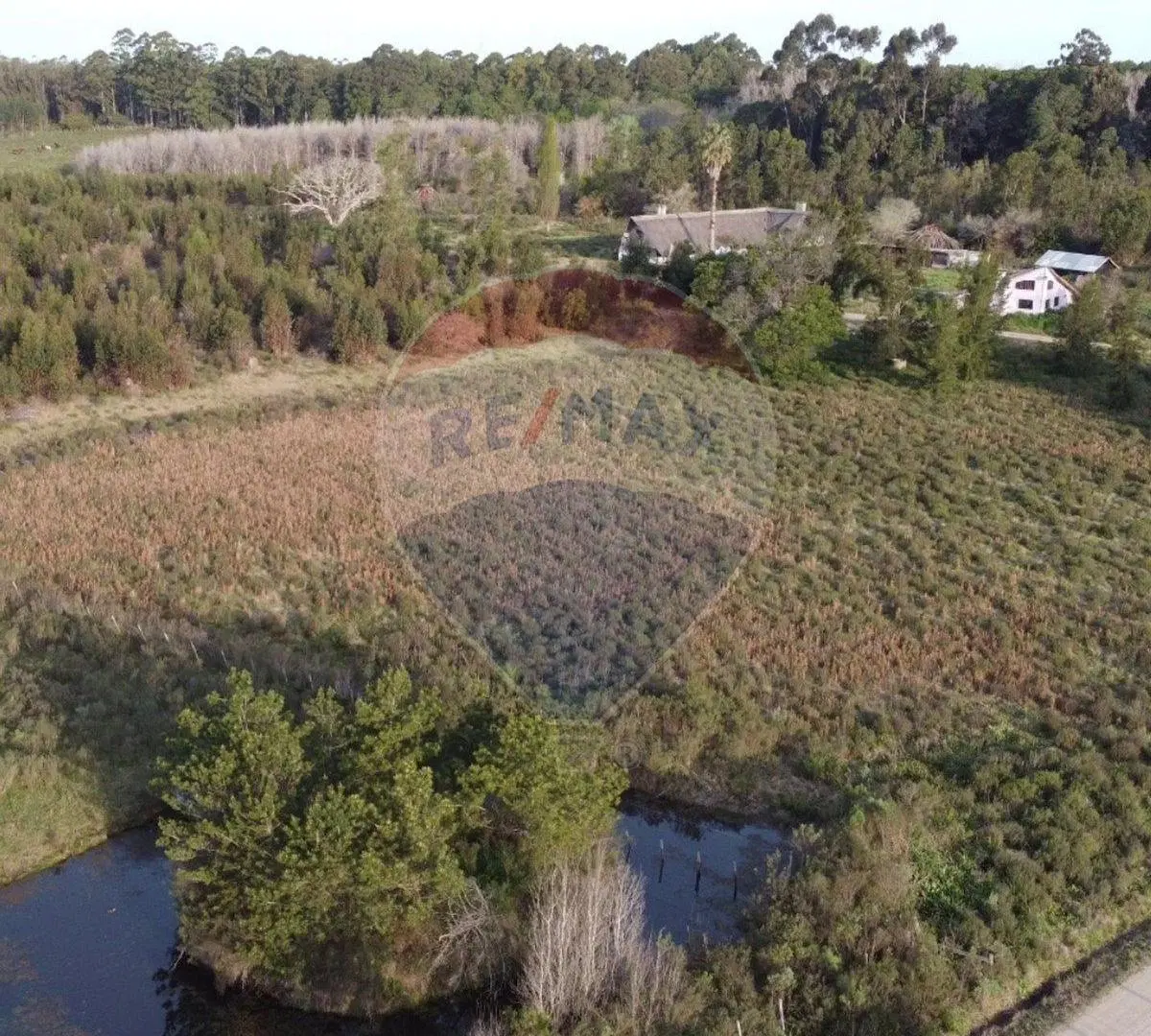 Venta de Campo 3 Ha. en Ruta 8 Km.45 Empalme Olmos 5