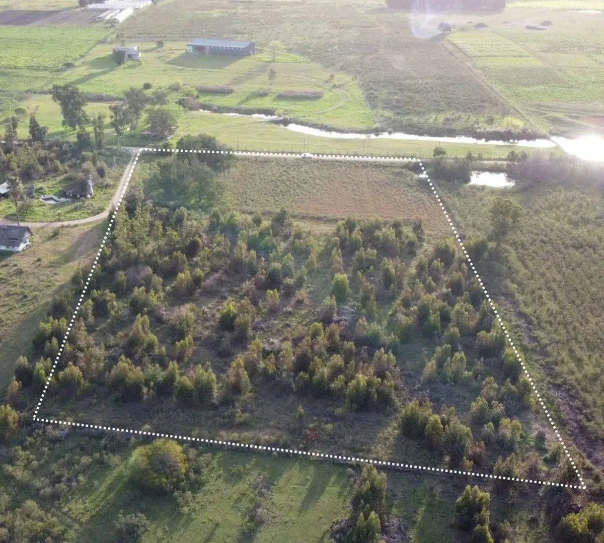 Venta de Campo 3 Ha. en Ruta 8 Km.45 Empalme Olmos 3