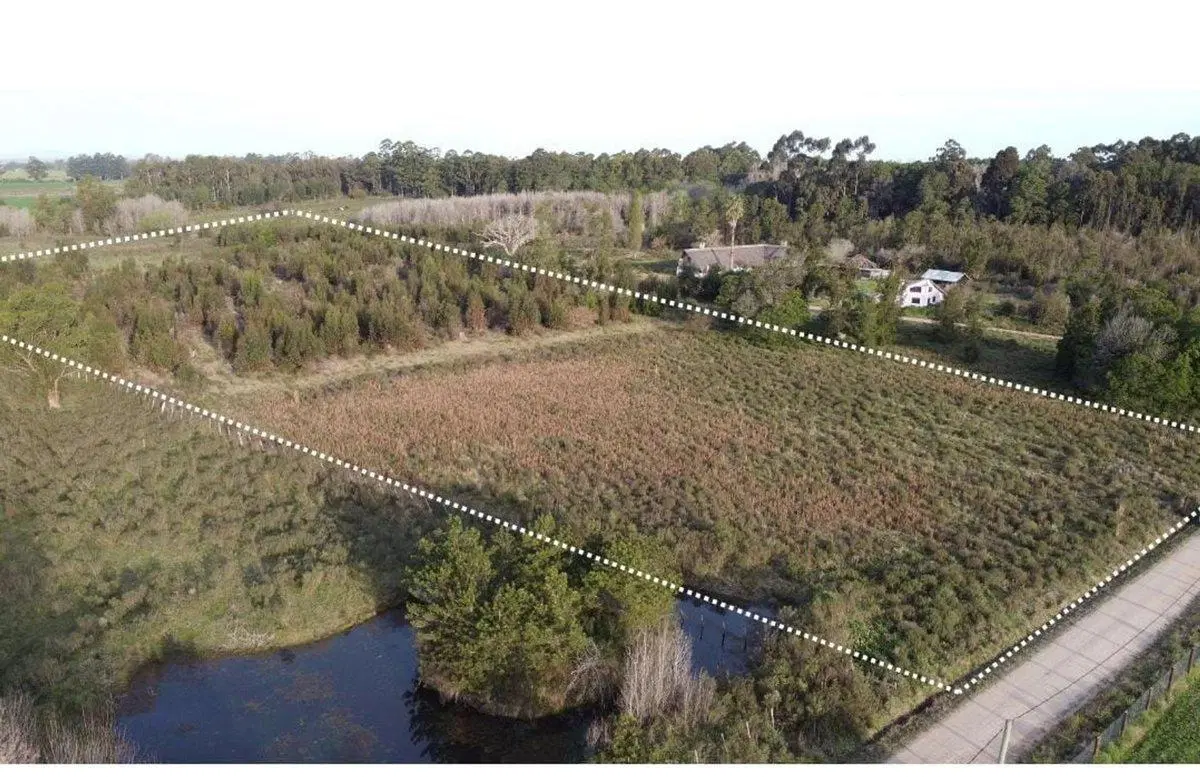Venta de Campo 3 Ha. en Ruta 8 Km.45 Empalme Olmos 2
