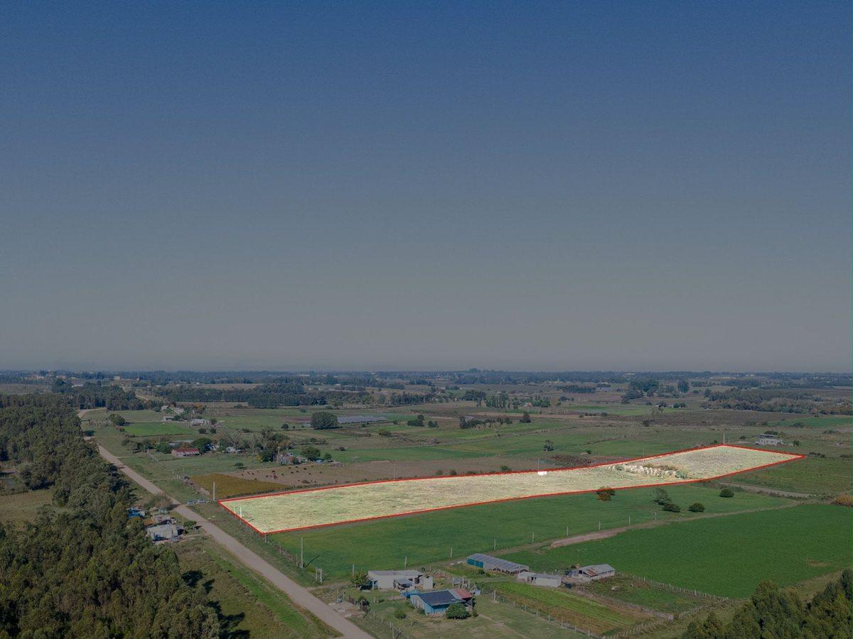 Foto de VENTA DE CAMPO 4 HECTAREAS CON TAJAMAR RUTA 75, imagen 1