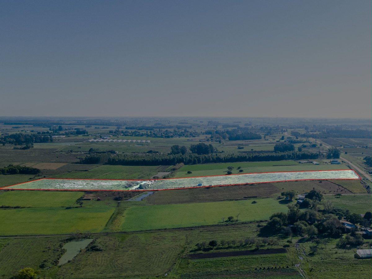Foto de VENTA DE CAMPO 4 HECTAREAS CON TAJAMAR RUTA 75, imagen 4