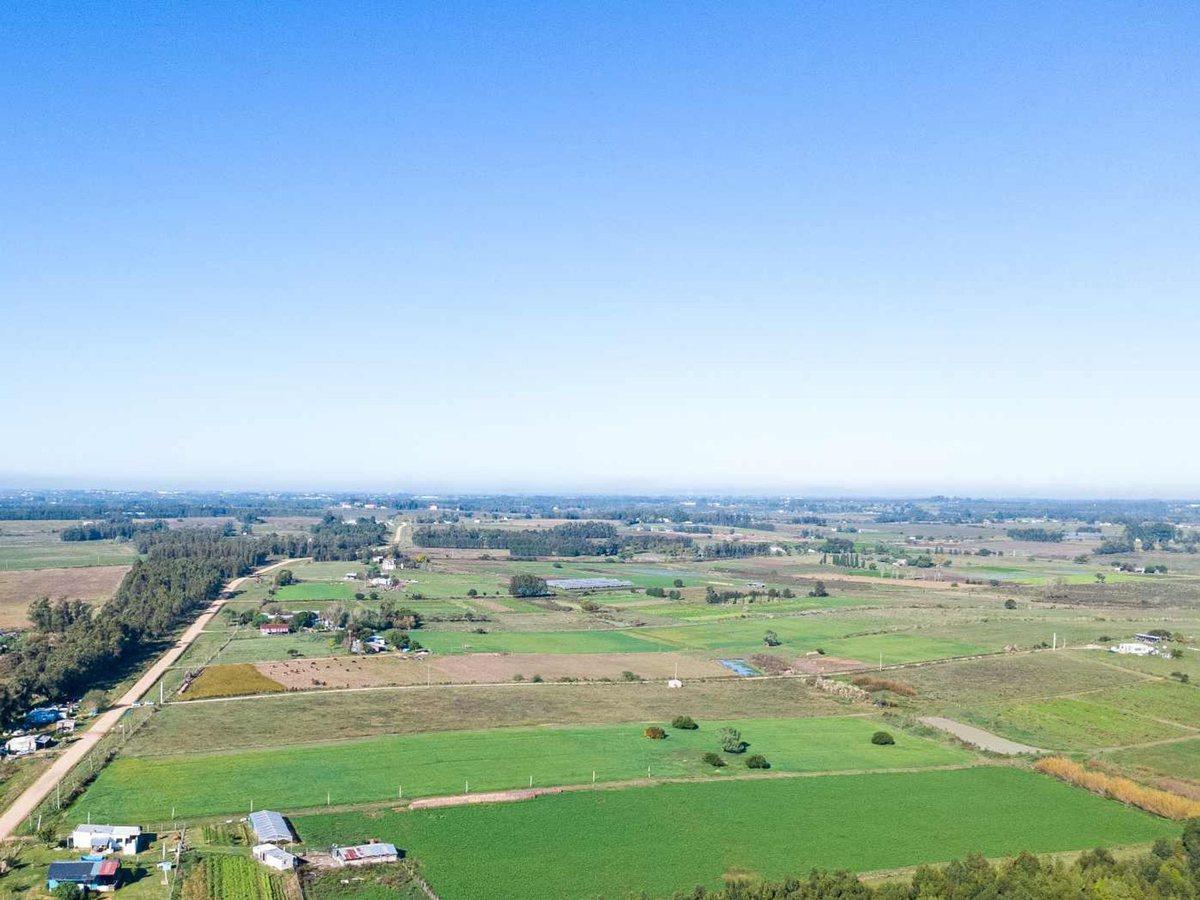 Foto de VENTA DE CAMPO 4 HECTAREAS CON TAJAMAR RUTA 75, imagen 5