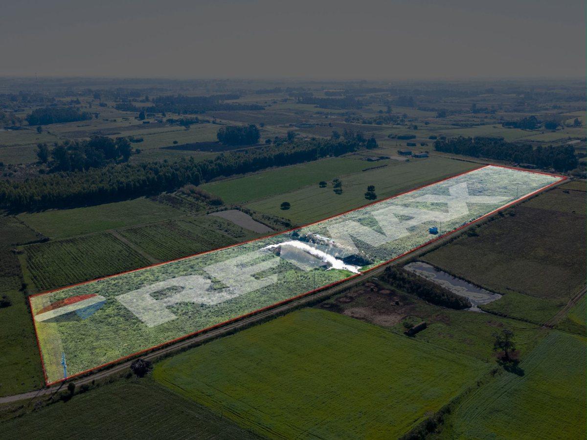 Foto de VENTA DE CAMPO 4 HECTAREAS CON TAJAMAR RUTA 75, imagen 3