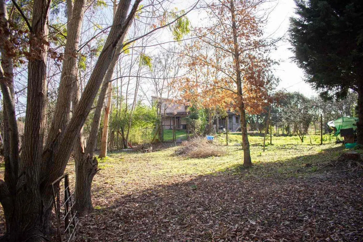 Venta casa con campo y costa sobre el arroyo Pando 8