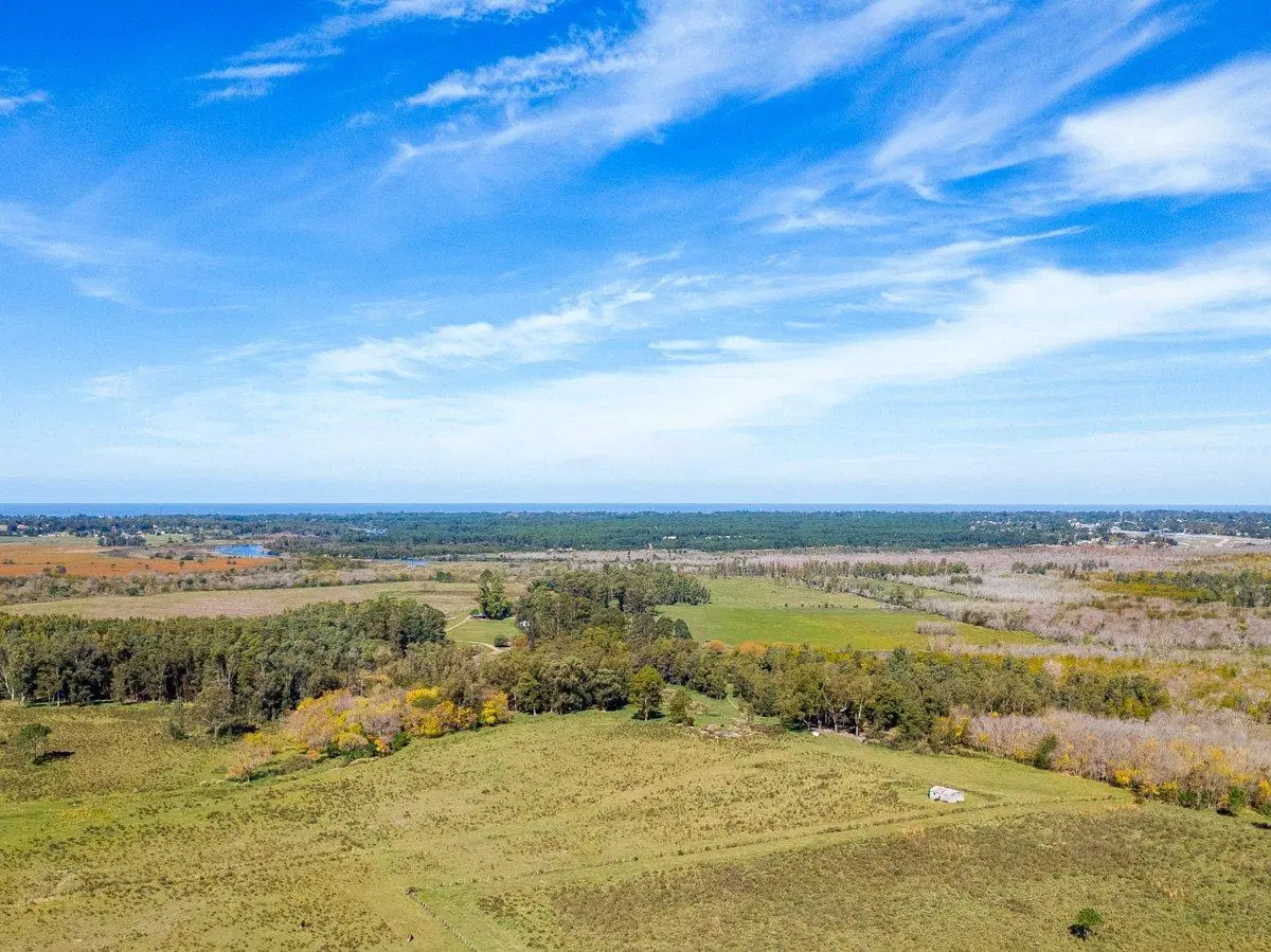 Venta de campo con 6 Ha. en Rincón de Pando 5