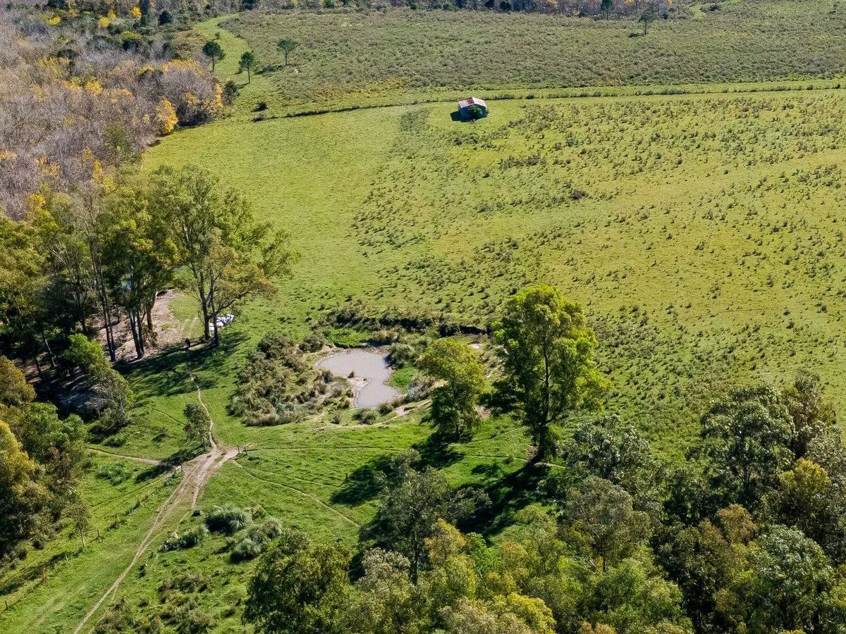Venta de campo con 6 Ha. en Rincón de Pando 2