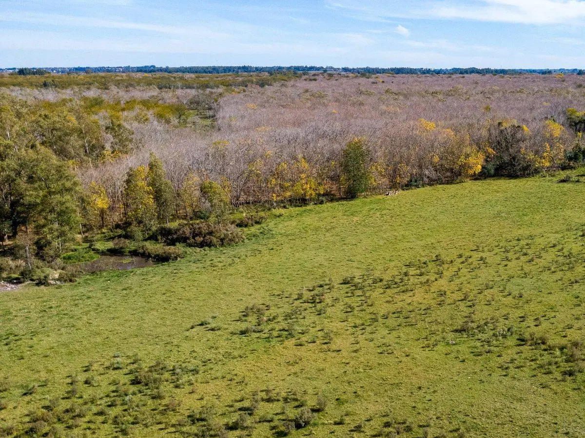 Venta de campo con 6 Ha. en Rincón de Pando 4