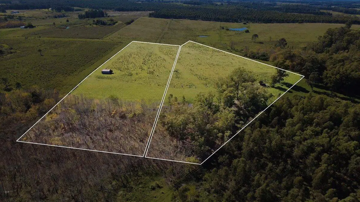 Venta de campo con 6 Ha. en Rincón de Pando 1