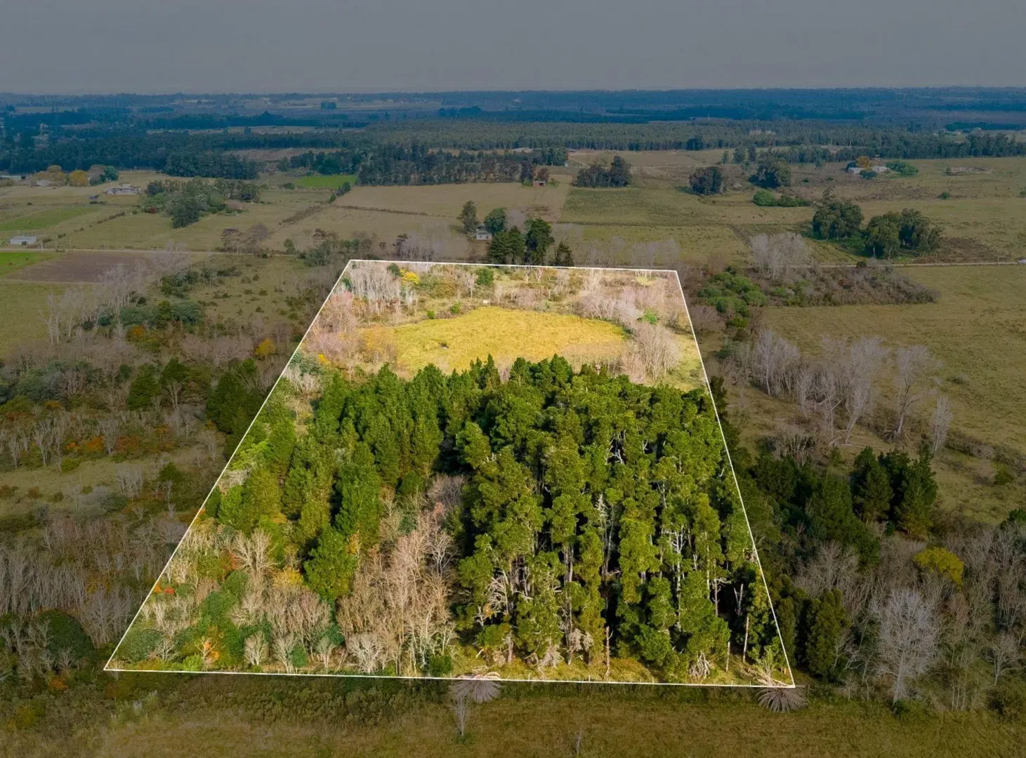 Venta de campo 5,6Ha en Rincon de Pando, Canelones 4