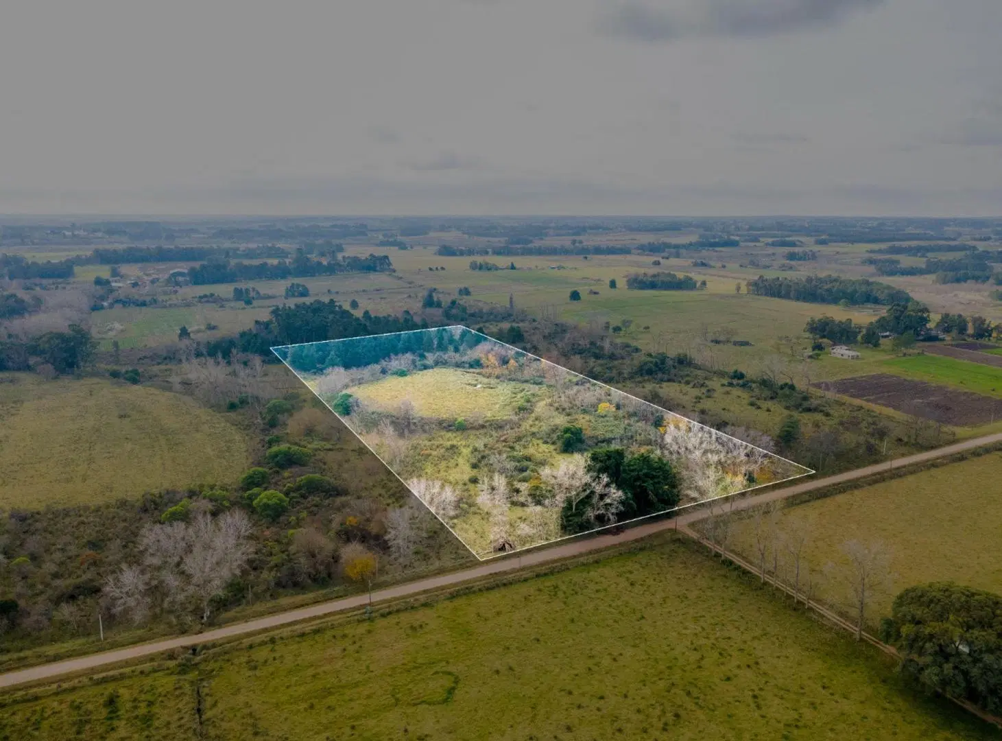 Venta de campo 5,6Ha en Rincon de Pando, Canelones 2