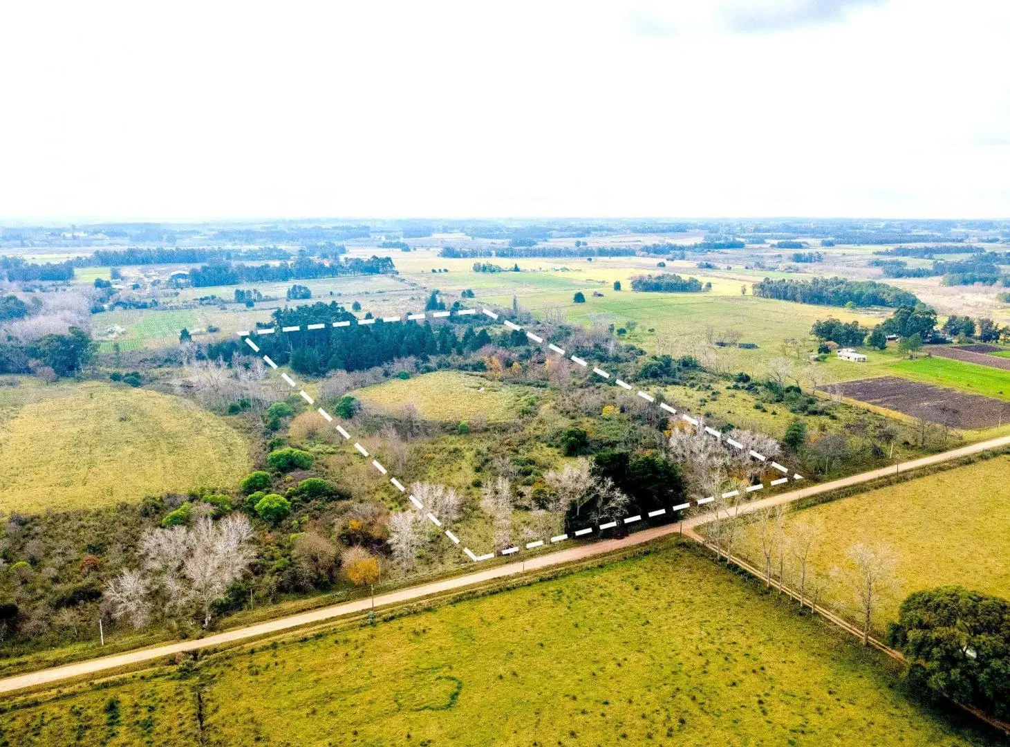 Venta de campo 5,6Ha en Rincon de Pando, Canelones 3