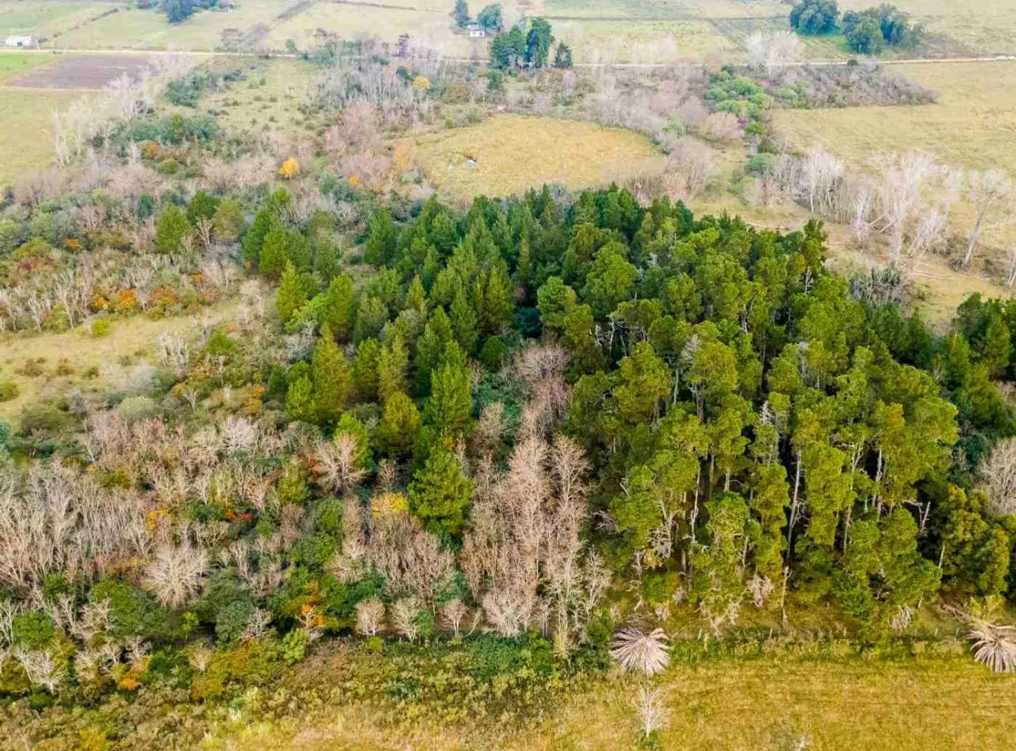 Venta de campo 5,6Ha en Rincon de Pando, Canelones 8