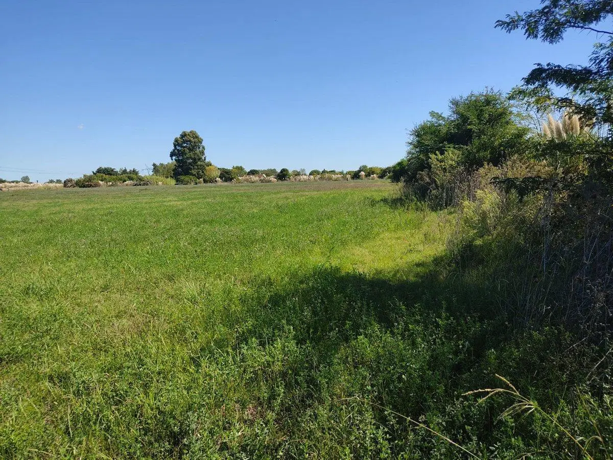 Ruta 75, Campo de casi 6 hás. 1