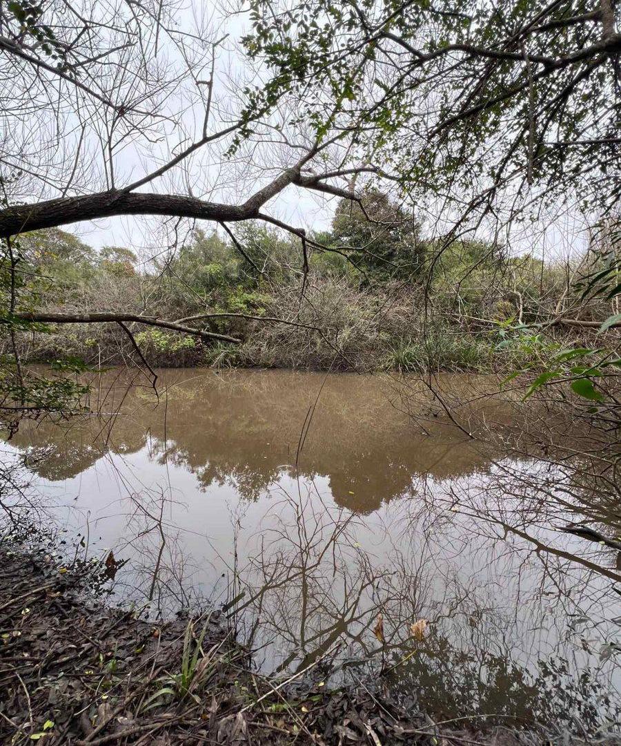 Foto de Venta Campo 18.970 Has sobre arroyo. Costa Azul, imagen 1